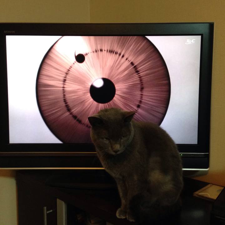 96a16d7d 1119 44e2 b232 e3bc141017d0