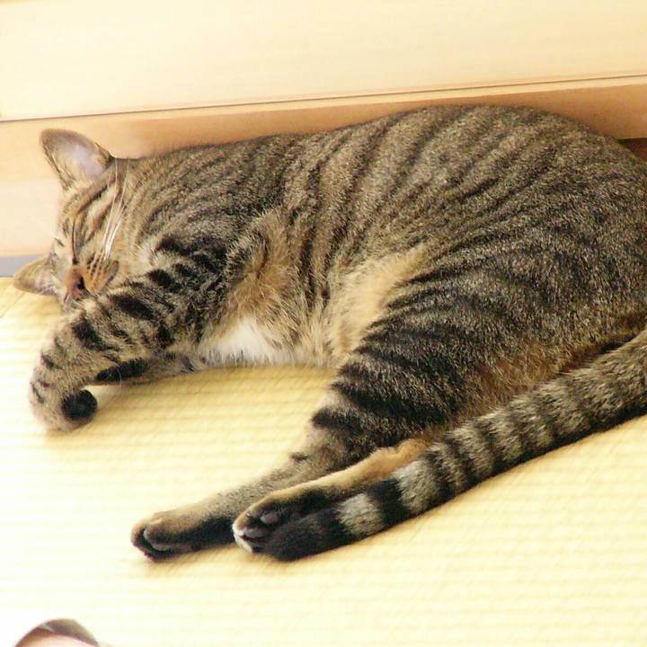 96a1fcd7 b2a7 4f8b bc24 2da6eaf0df86