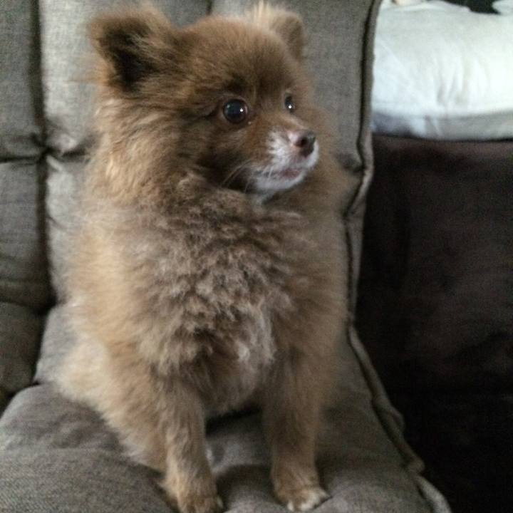 96a22e04 953d 4fb7 9c57 b78795f0a589