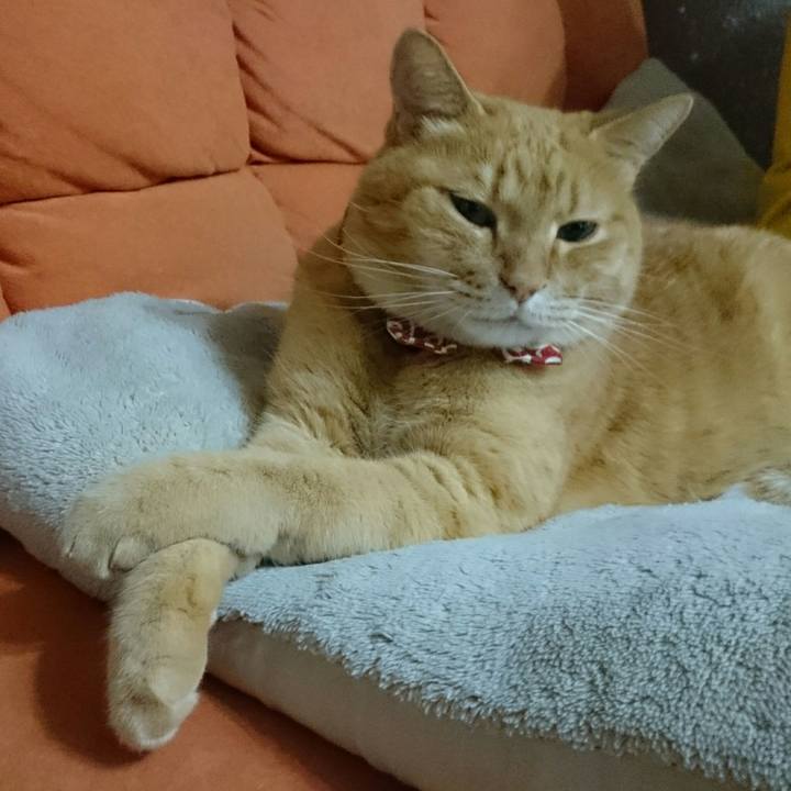 96a22fc5 1f80 4ebf 826a 8854ba7968fa