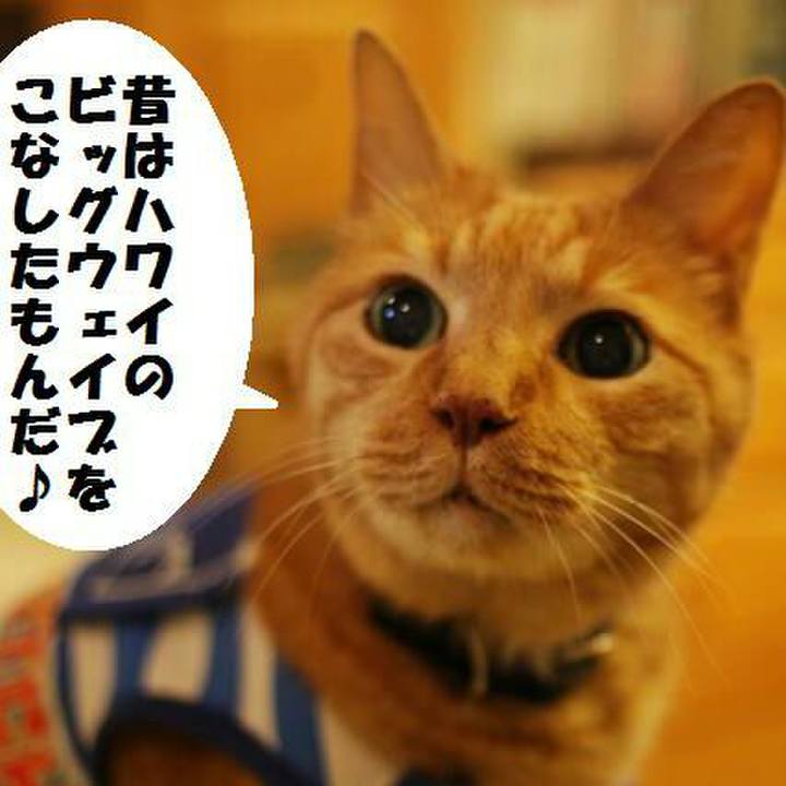 96a33fa4 3392 4b11 bda6 dd197a94b74a