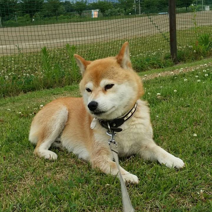 96a35d59 31e9 4a21 bee9 70c644a65d99