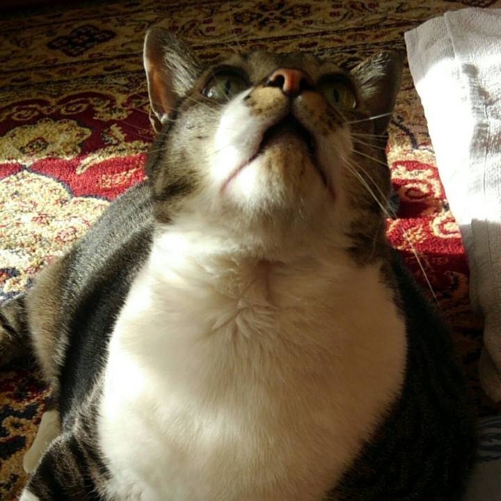 96a3915e 2df1 4ec5 930e a2f7f9217779