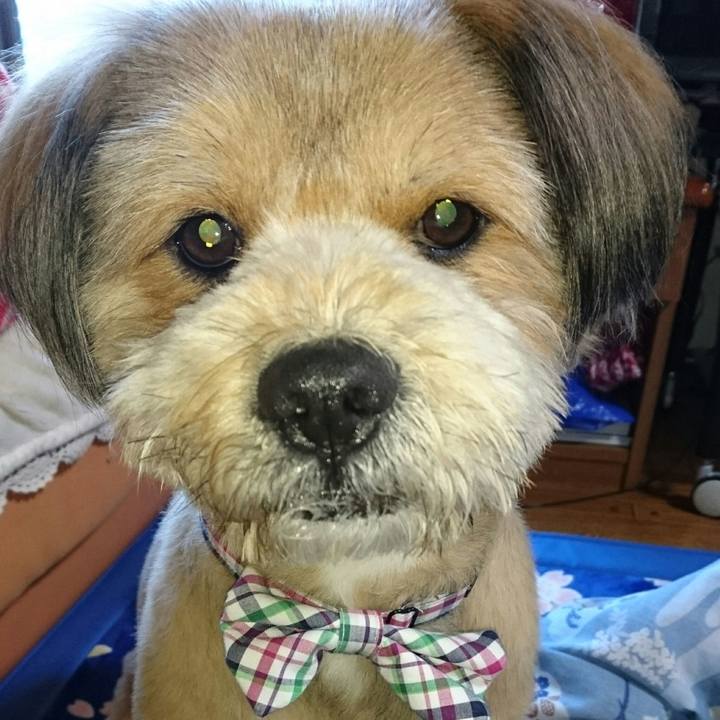 96a4d28c 9318 4fcd 9cc5 1ee5dfbcd21b