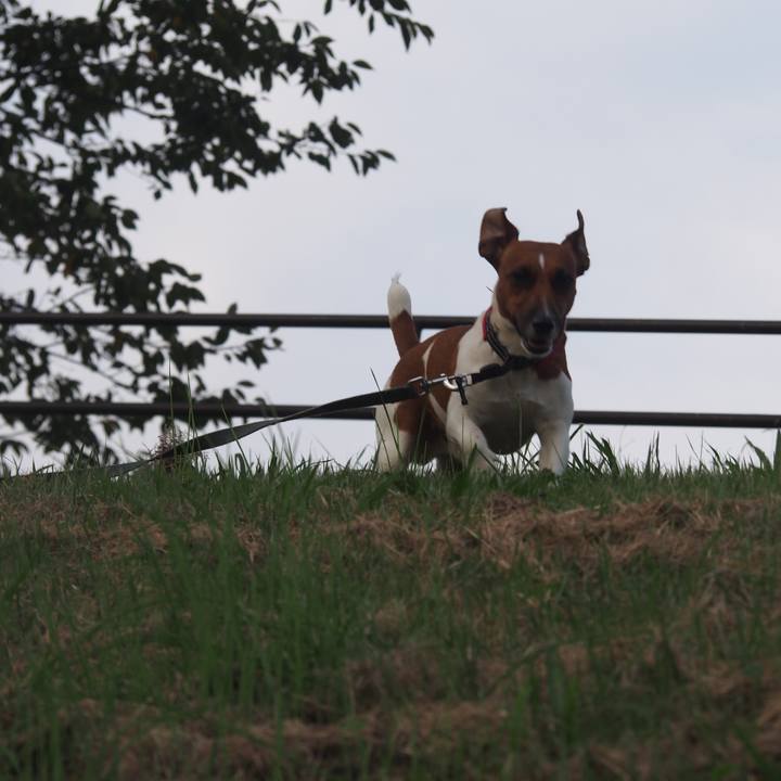 96a59568 ff70 4488 8f24 2fdd7d8aee44