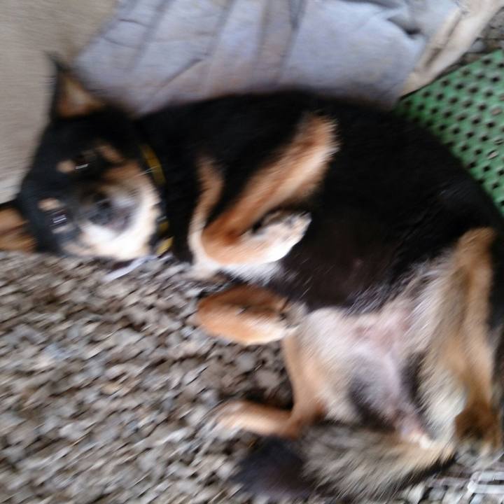 96a598a0 ce82 40b4 bafb 6b3455e75014