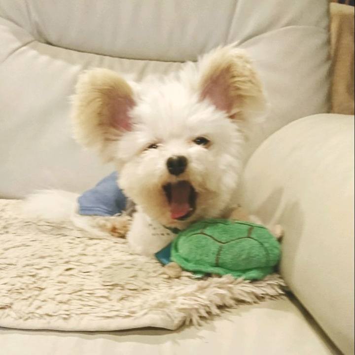 96a59940 8155 41bc 9473 cfe022ebf6b7