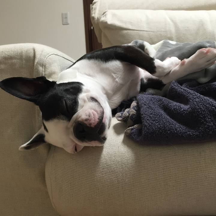 96a6399c 94f4 424d 9307 b105180ff4b9