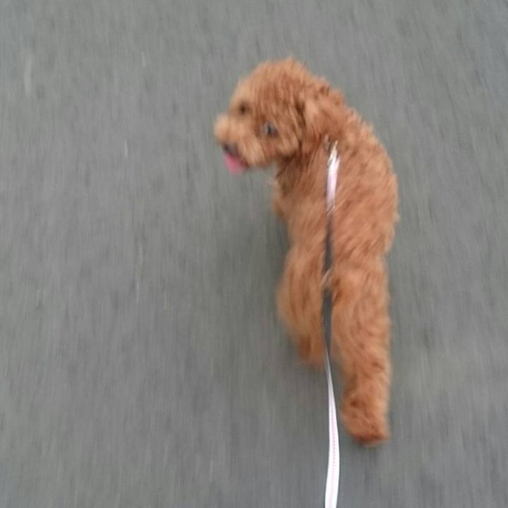 96a6840b e474 442d b5b5 a3ff48853879