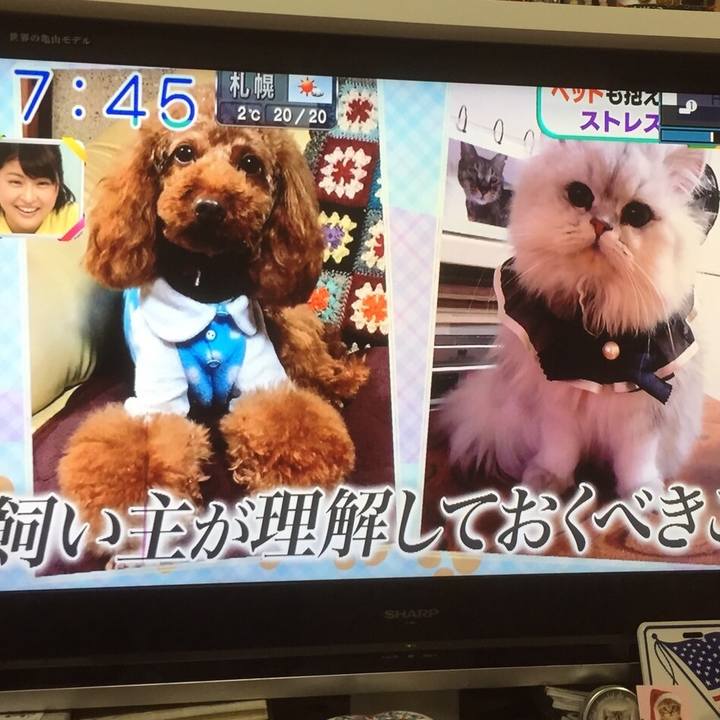 96a6ad71 4153 4c4e aded 977a5d9ac170