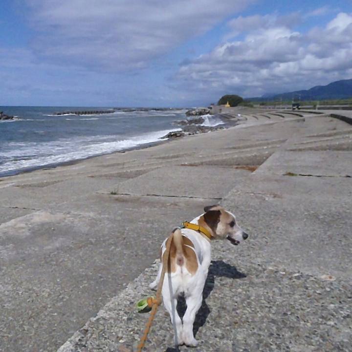 96a6e348 df93 4cb8 a9cc a664ae416c4e