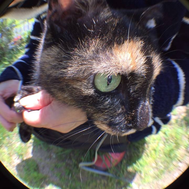 96a789f7 9cc7 4e15 b69e 290eac5ef0e0