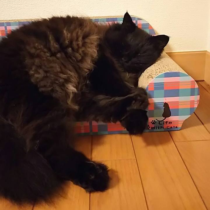 96a7989d 14e5 4276 99b3 cc70ed3978ea