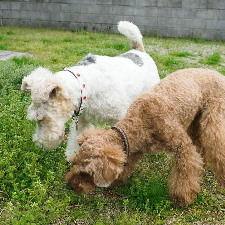 96a799ef d323 44b5 8b19 4d2a8da9be5a