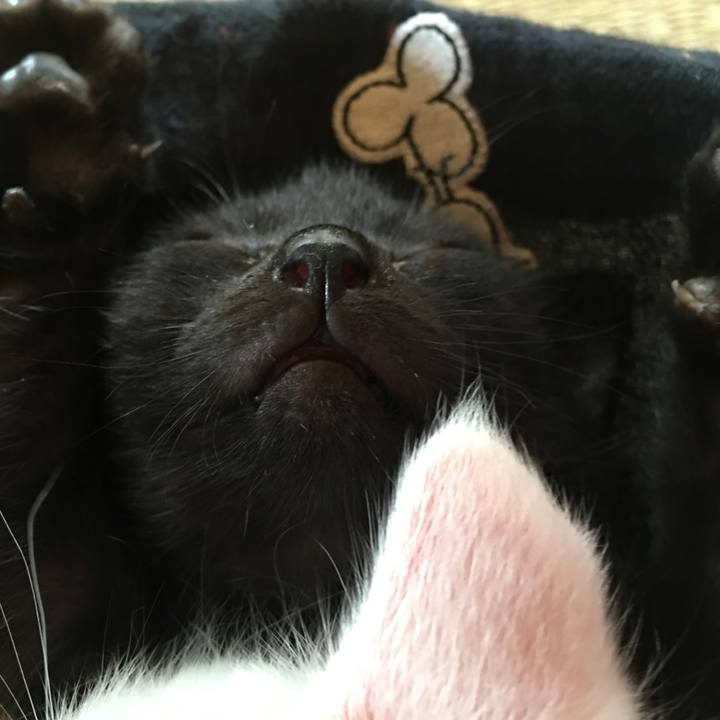 96a802fc bea7 4ba6 bb31 771fda877073