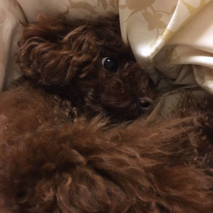 96a911ec 0816 4d0c b5b1 de3ab02dc780