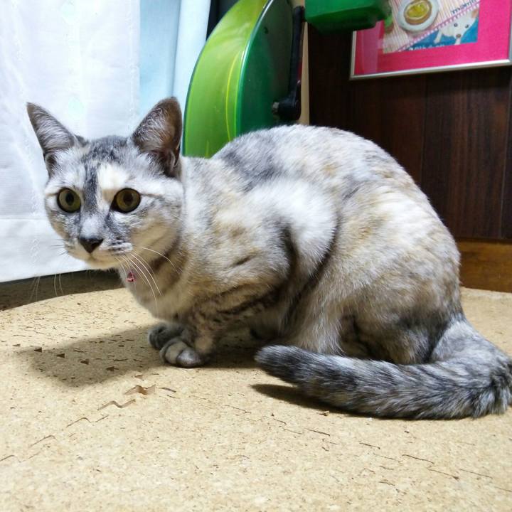 96aa452d bc5c 4451 b74f a71b63206a8e