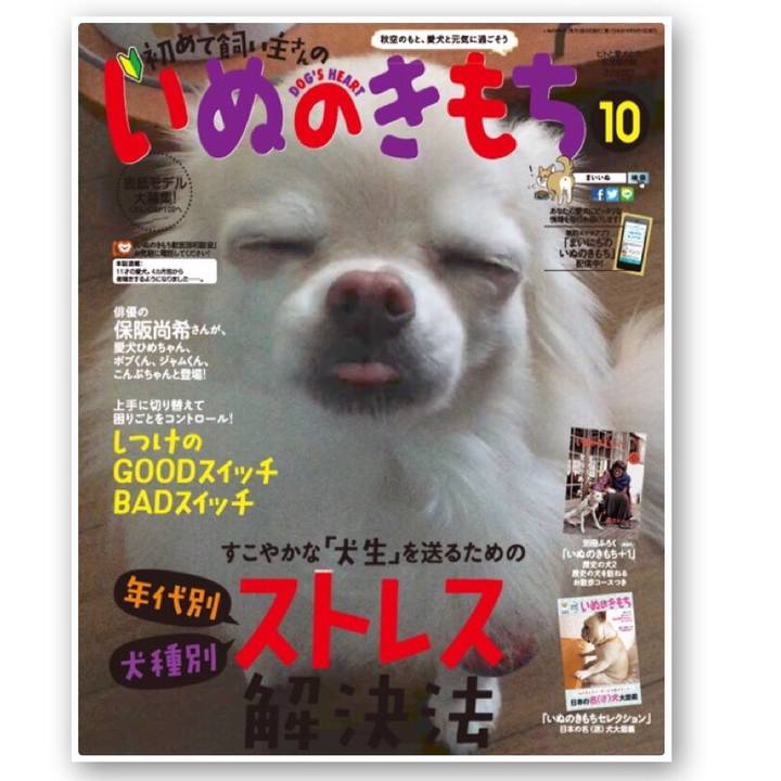 96aa60d1 8bee 49a9 a77b 98dcd421ad0d