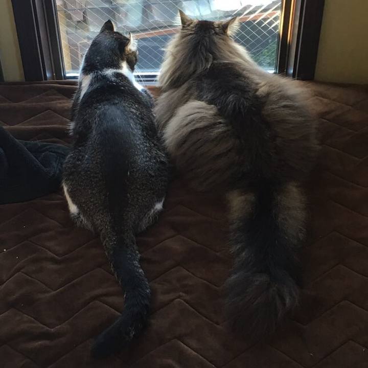 96aa731d 20b5 4fca 86e9 54c82fdc0177