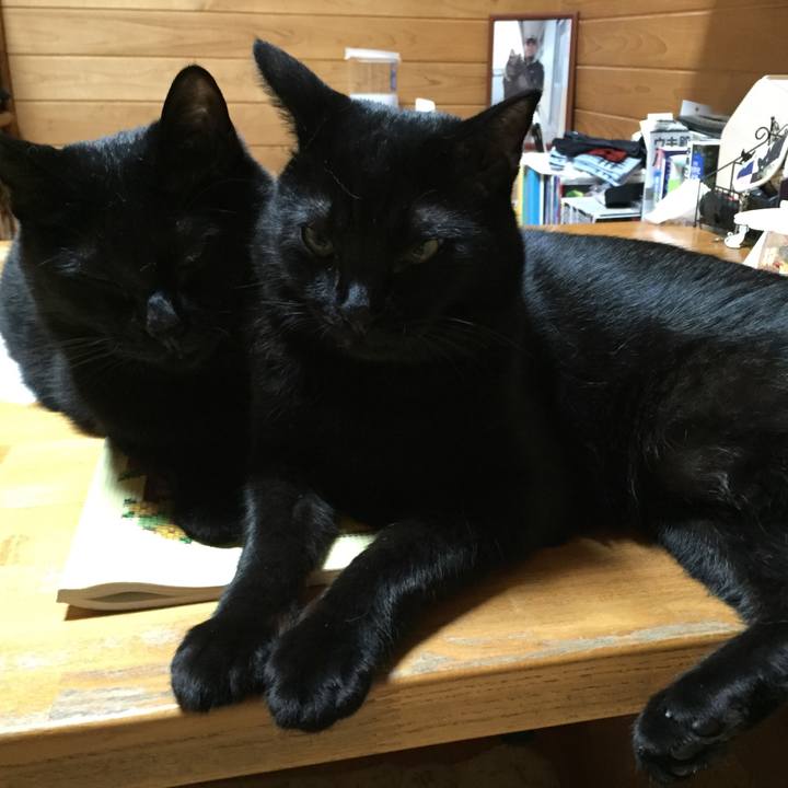 96aadb4e 0602 4edc 9618 0a51219ecd33