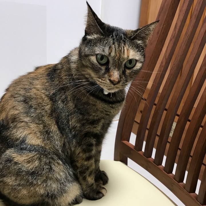 96aaed05 10a9 4546 85b4 266efbd0e4b8