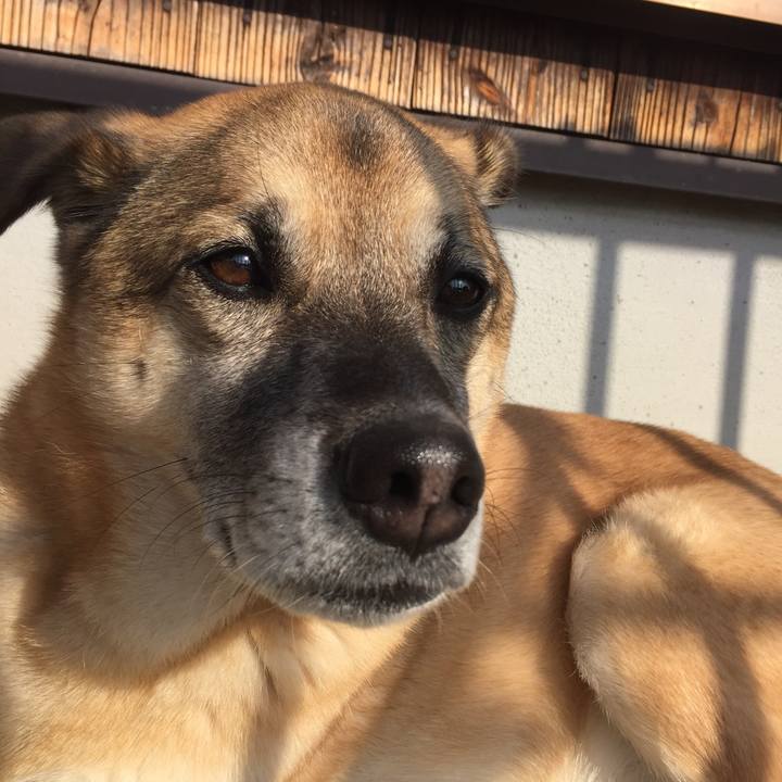 96aaef73 0612 4179 9924 8529ba5f7f27