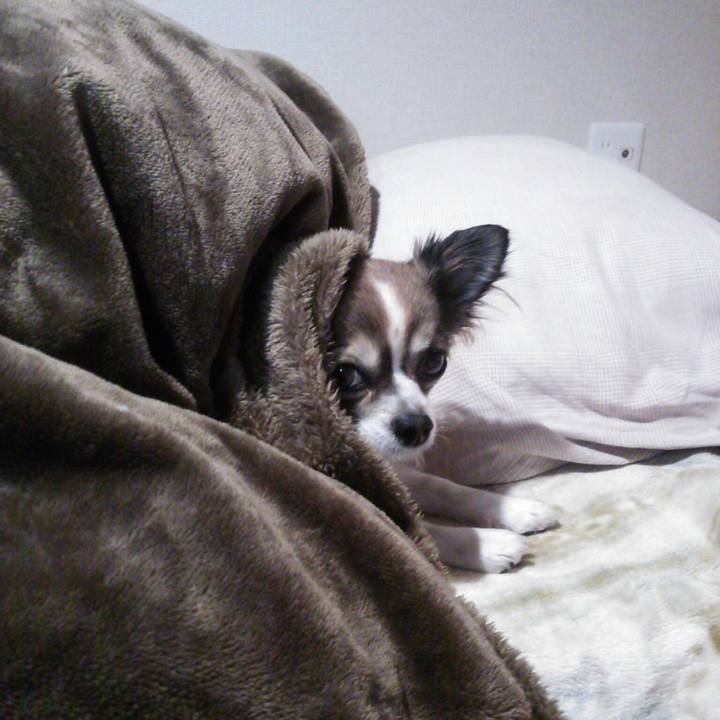 96ab316e d9df 4887 a726 863cc72f5b47