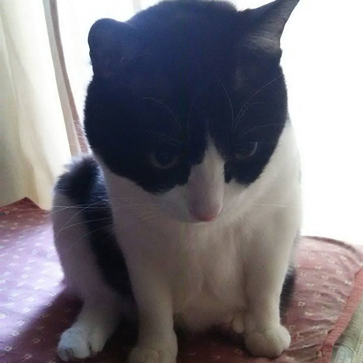 96ab7ec5 671d 420b 8b47 f1045283048c