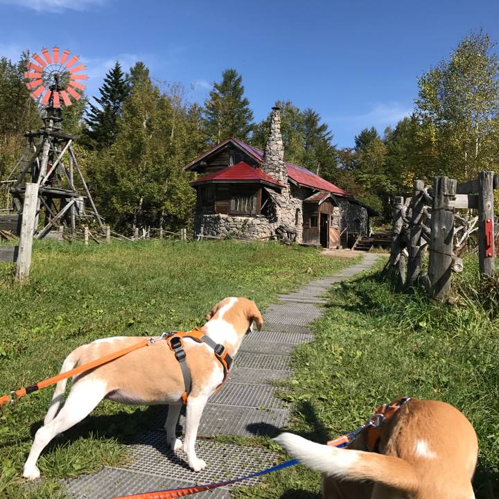 96ac105b f325 410e b6f2 3e10e941b940