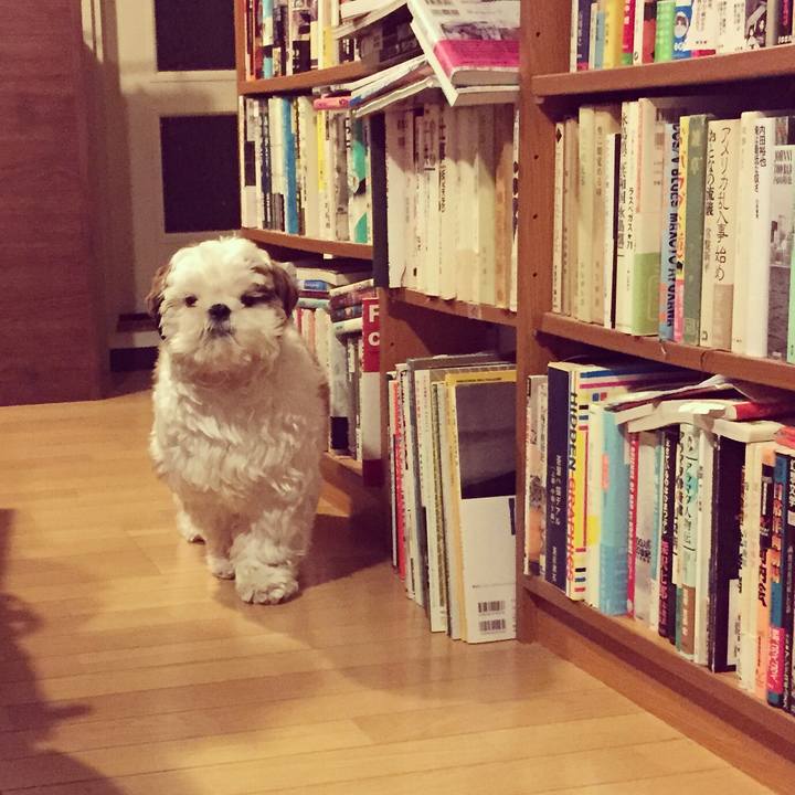 96acd6a4 b314 47d5 933b 8f1b78e48a26