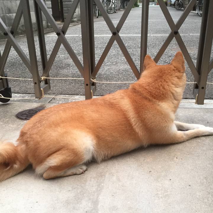 96ad728f b3e9 43df 8080 3f30ab538276