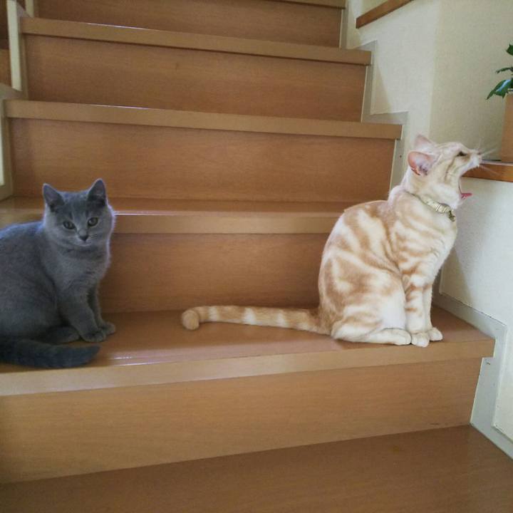 96ad9964 87a3 4eed b317 6ea4a627bc51