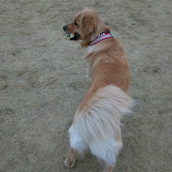 96ada93d b566 4534 af03 6e8e76686b43