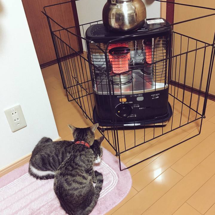 96adab14 0305 4307 9f28 f5eeb27882ae