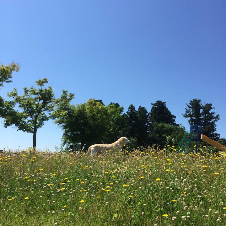 96ae588c 6766 4a11 896c bf73ee77ca68