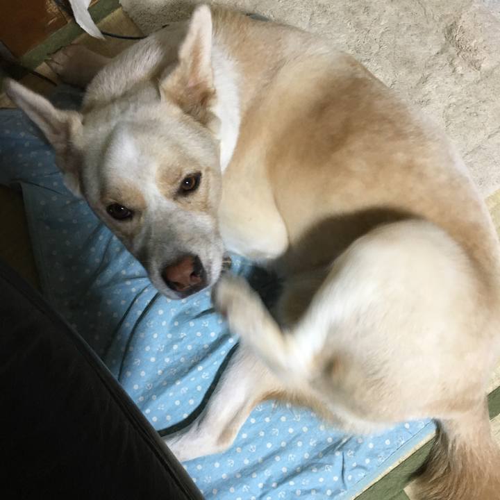 96ae9772 8098 49d3 875d e205963f735a