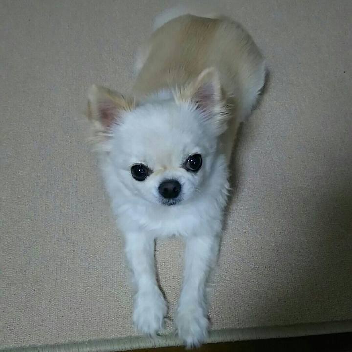 96aeb697 ac91 403d 9d7f 9f9af38aabb0