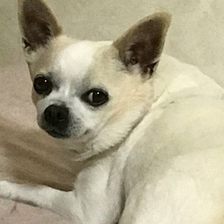 96aedbea d844 4215 9269 ebd0d7158f10