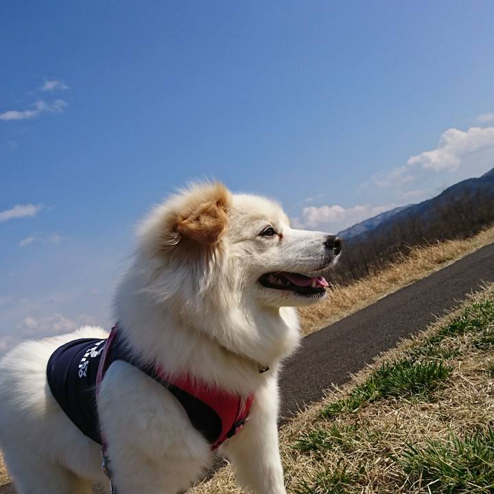 96af174f 836a 49c5 8182 6d298c6ea532