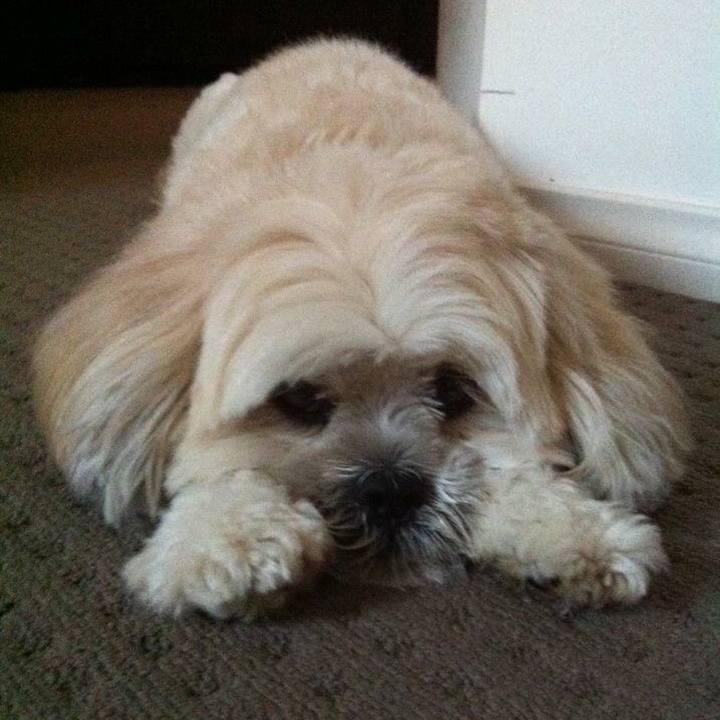 96af2f38 6e14 429e ac59 c4308fe2012e