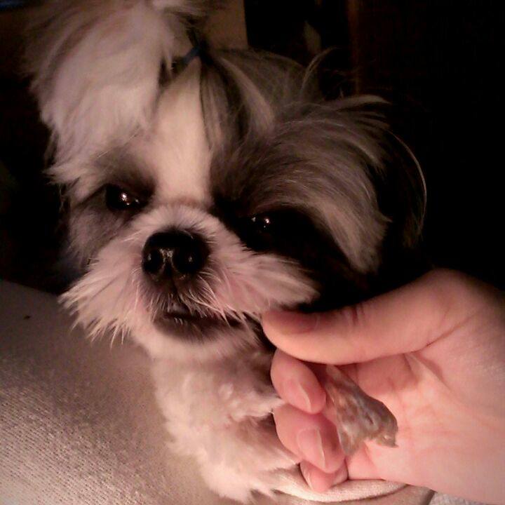 96af8a44 e7da 4b4b 88c1 e05ab509fbd8