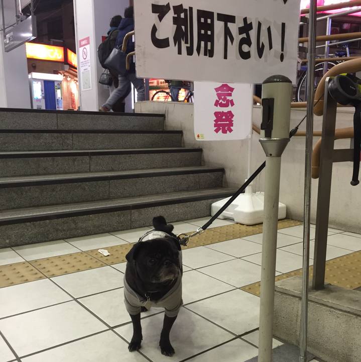 96b00faf 3638 4d22 b695 e5dac4c19ca3