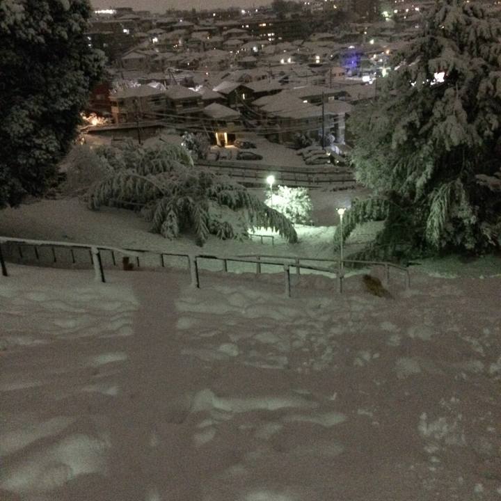 96b0a47c a1ae 4172 b99d f1a77d611eca