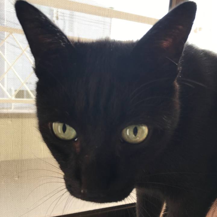 96b0c1e8 bc13 4be1 b3c3 73be40685b45