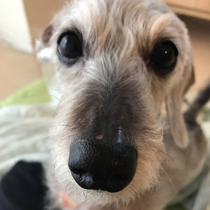 96b192a3 ae50 4940 a3a2 3e5348fe4adf