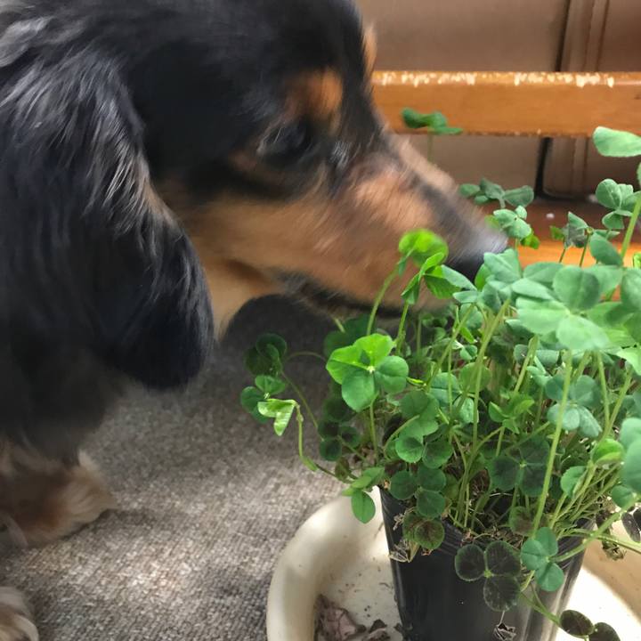 96b1f72c 55b2 4cdc 981a f04a62c18fb3