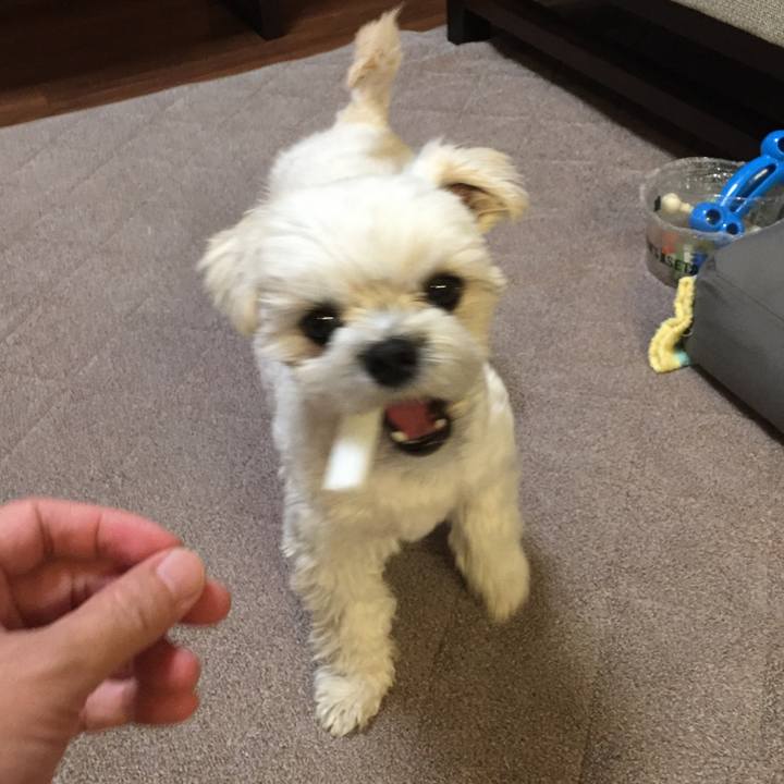 96b28377 e89b 453f ab8c a66ff959a0a4