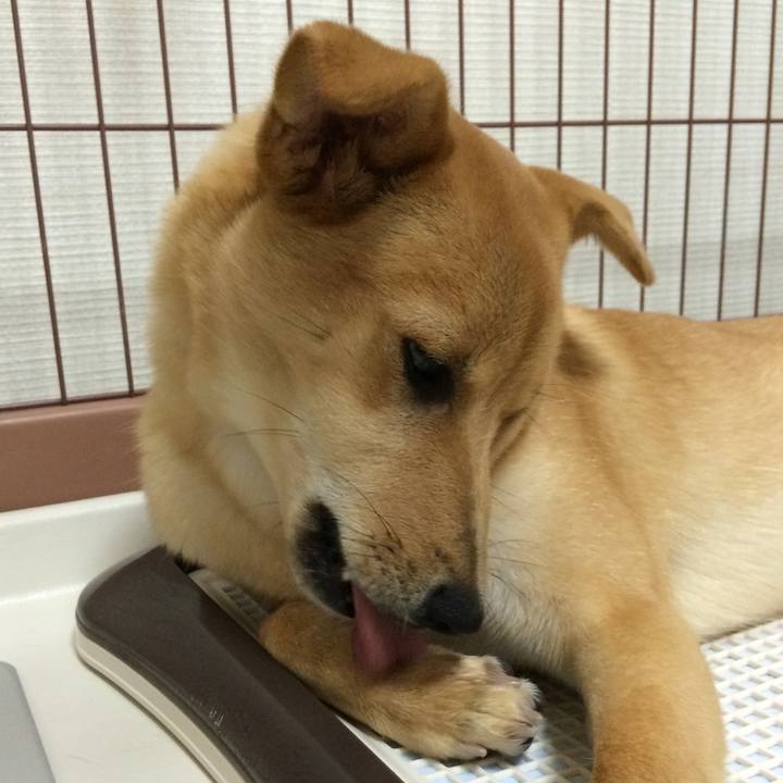 96b40731 3132 451c 8d13 a35d0b5ef888