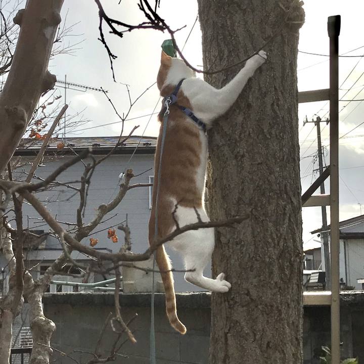 96b461b5 528f 4260 b414 933af65eaa31