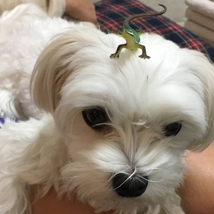 96b52bce 453e 4ebe bace d89f631d1fe0